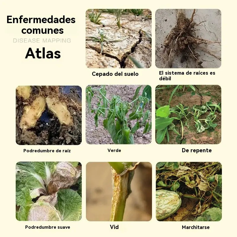 【200 g/500 g】Trattamento biologico per radici marce e terreno impoverito|Agente microbico per prevenire l'appassimento e l'essiccazione delle piante|Adatto a tutte le colture di frutta e verdura|100 g per 60 l di acqua