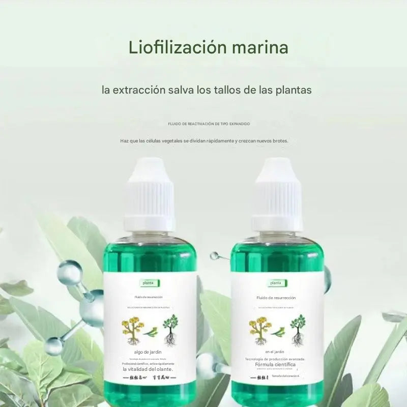 š„ćConfezione da 6ćš±š± Soluzione nutritiva che favorisce la crescita delle piante