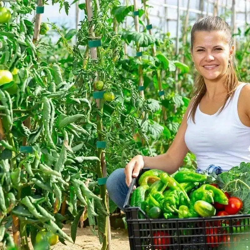 【25/50/100M】Cinghie di supporto per piante regolabili e riutilizzabili per una crescita efficace delle piante