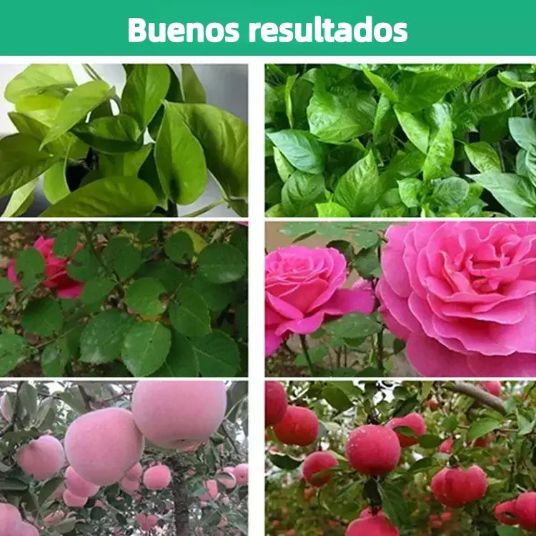 🌱🌱Soluzione nutritiva che favorisce la crescita delle piante.