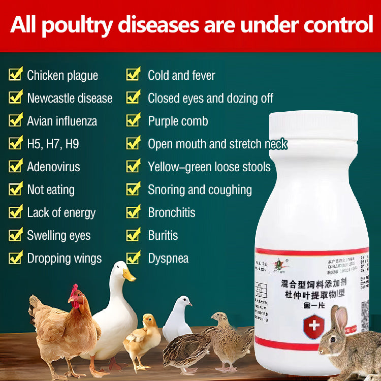 Medicamento para a constipação e diarreia para galinhas, patos, gansos e pombos