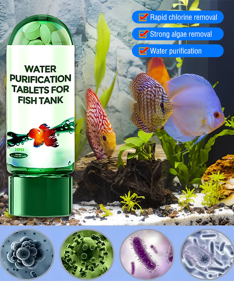 🔥Compresse per la purificazione dell'acqua dell'acquario, rimozione rapida del cloro, rimozione efficace delle alghe