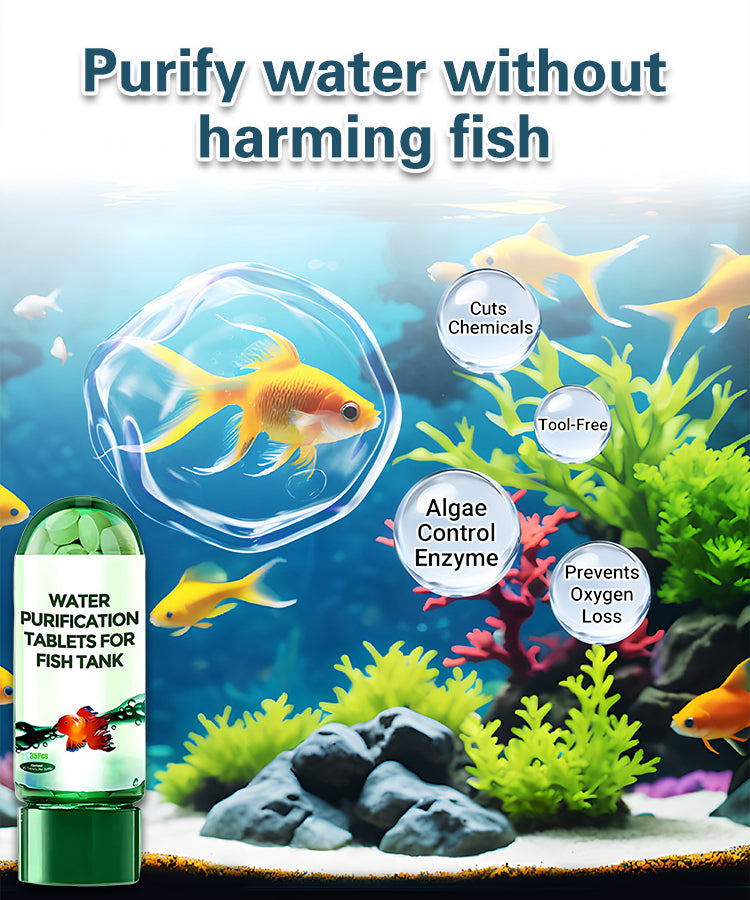 🔥Compresse per la purificazione dell'acqua dell'acquario, rimozione rapida del cloro, rimozione efficace delle alghe