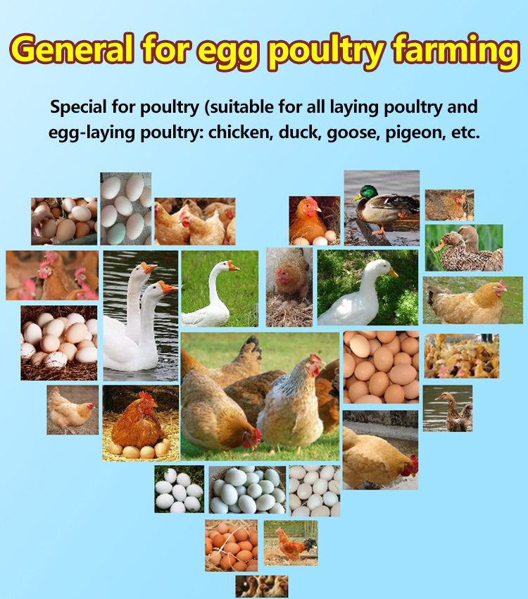 【2/4/6/8 unidades】🦆🐓🦤Suplemento alimentar para a produção de ovos em galinhas, patos e gansos. Suplemento nutricional para ração.