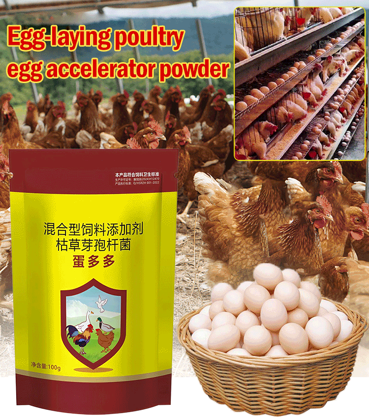 【2/4/6/8 unidades】🦆🐓🦤Suplemento alimentar para a produção de ovos em galinhas, patos e gansos. Suplemento nutricional para ração.