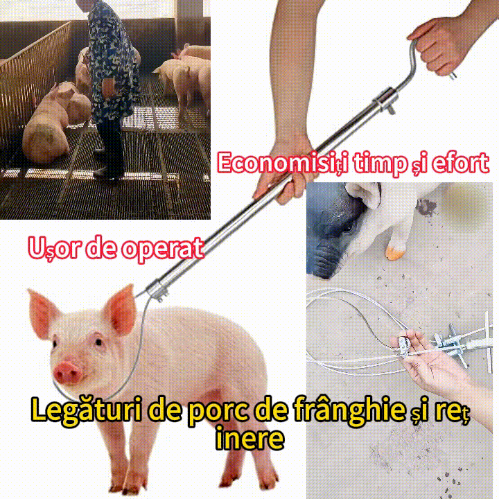 🐖Schweinekrawatte, Drahtschweinkrawatte, Schweinekrawatte Seiltyp und Harzvorrichtung