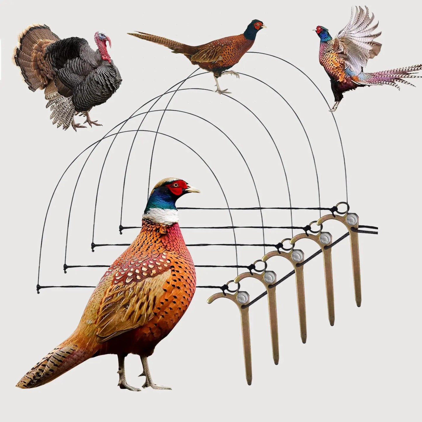 🦆🐓【5/10/20 peças】Armadilha para aves de tamanho médio, adequada para galinhas, faisões, patos-reais, perdizes e patos.