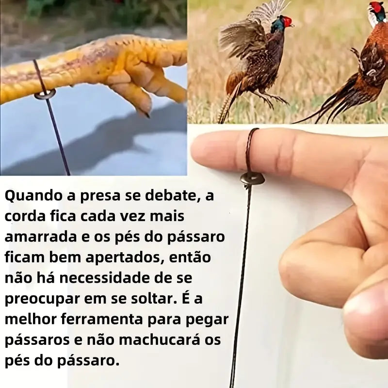 🦆🐓【5/10/20 peças】Armadilha para aves de tamanho médio, adequada para galinhas, faisões, patos-reais, perdizes e patos.