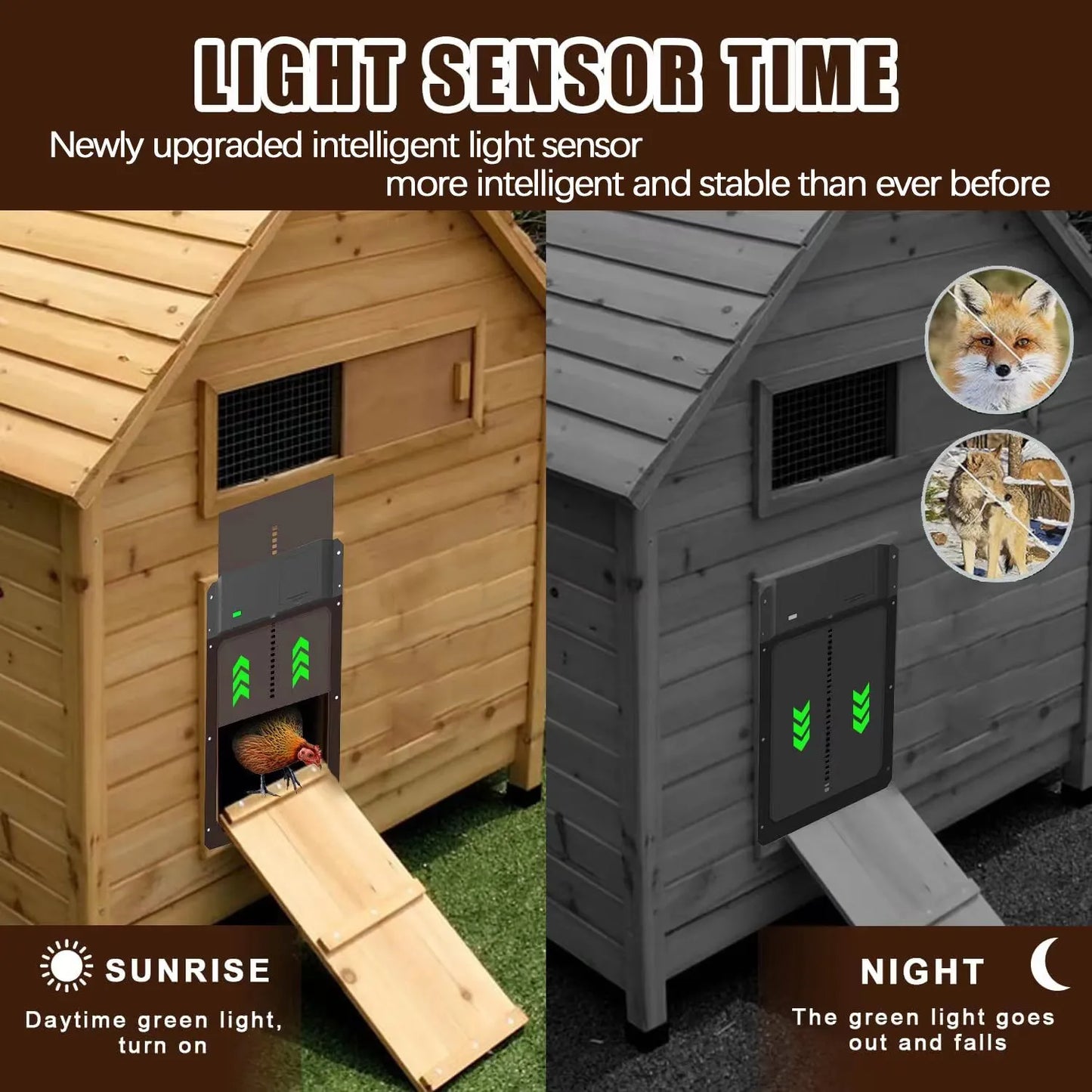 Promoção por tempo limitado 🔥Porta de galinheiro fotossensível totalmente automática