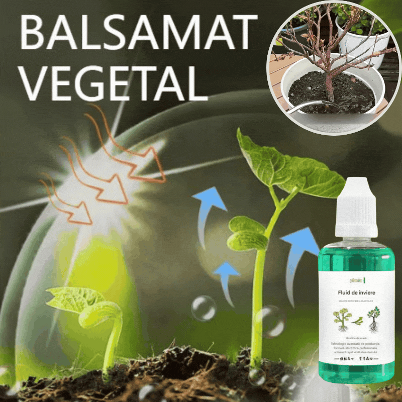 š„ćConfezione da 6ćš±š± Soluzione nutritiva che favorisce la crescita delle piante