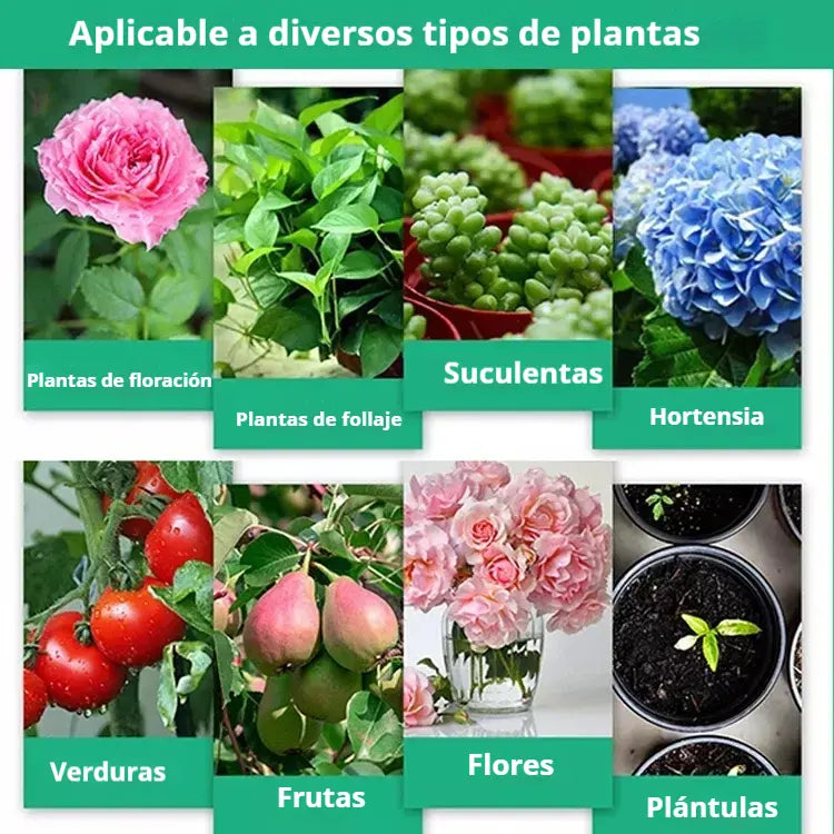🌱🌱Soluzione nutritiva che favorisce la crescita delle piante.