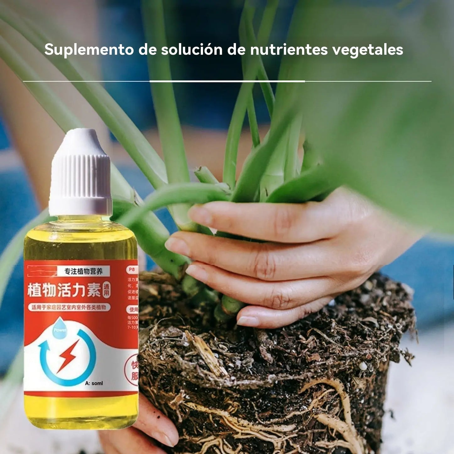 🌱🌱Soluzione nutritiva che favorisce la crescita delle piante.
