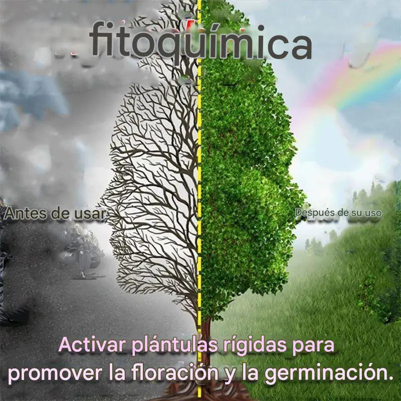 š„ćConfezione da 6ćš±š± Soluzione nutritiva che favorisce la crescita delle piante