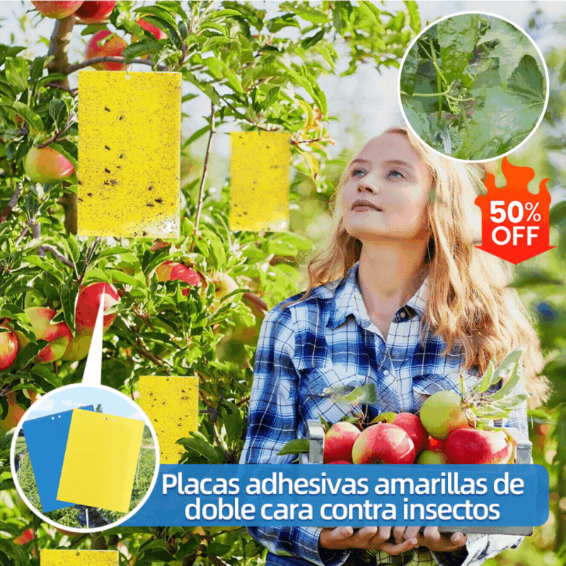 【Confezione da 120 pezzi】Pannello adesivo bifacciale giallo contro gli insetti