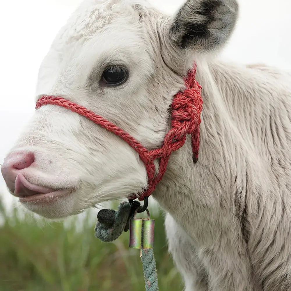 🐂【Confezione da 10】Campanelli in bronzo per radunare bovini, cavalli e pecore, il forte suono dei campanacci del bestiame si diffonde sempre più lontano.