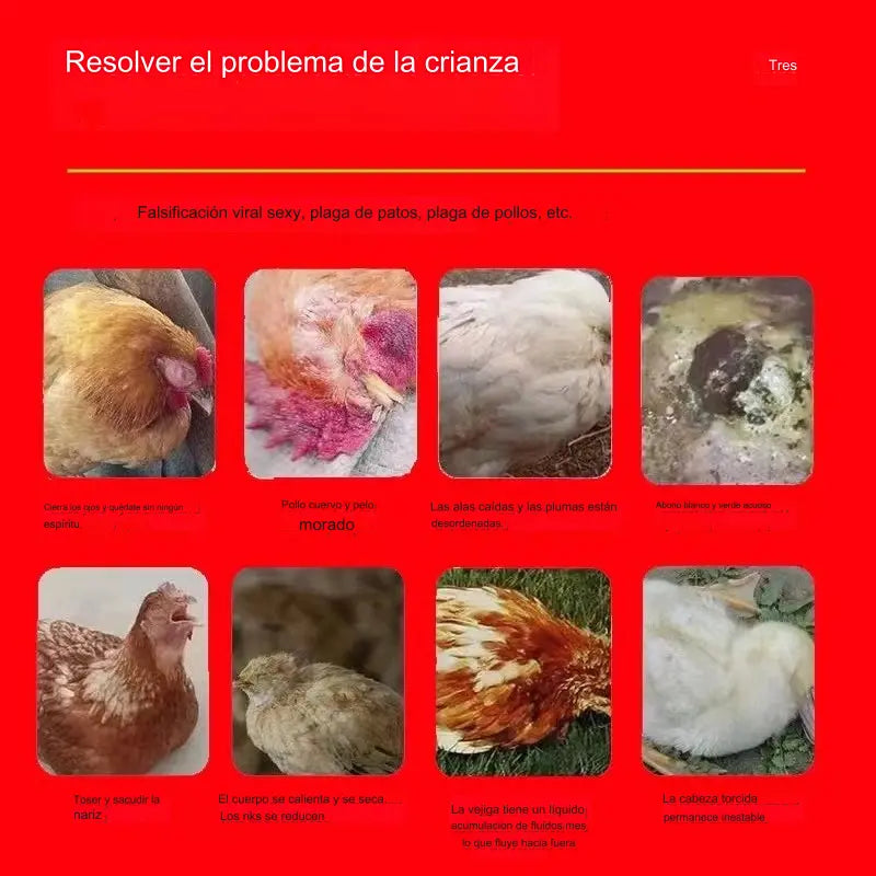 🐔🦆🪿Medicinale antinfluenzale particolarmente efficace per polli, anatre, oche e pollame.