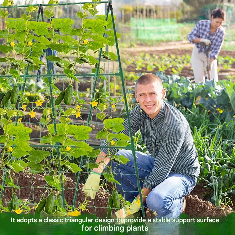 š±š±š±ć11*40ćEstrutura de escalada para uvas - tubo de aƧo grosso com revestimento de plĆ”stico