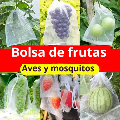 【50 peças】Rede contra insetos para moscas da fruta, rede de proteção para árvores e pássaros, sacos de rede para jardim para proteger flores, plantas, frutas e legumes