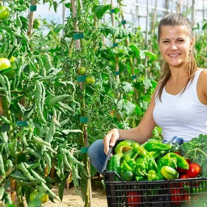 【25/50/100M】Cinghie di supporto per piante regolabili e riutilizzabili per una crescita efficace delle piante