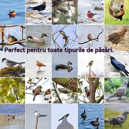 🐓🐦4/8 pezzi [1 set di 4 modelli diversi] Trappola a molla per esterni, trappola autobloccante ad alta sensibilità