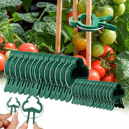 🍇【200 PEZZI】🌱Morsetti a molla per fissare rami di vite come uva, cetrioli, pomodori, ecc.