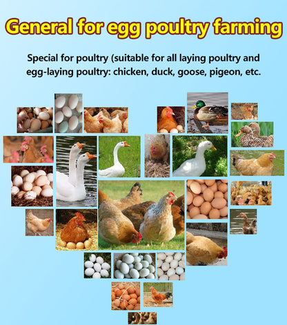 【2/4/6/8 unidades】🦆🐓🦤Suplemento alimentar para a produção de ovos em galinhas, patos e gansos. Suplemento nutricional para ração.