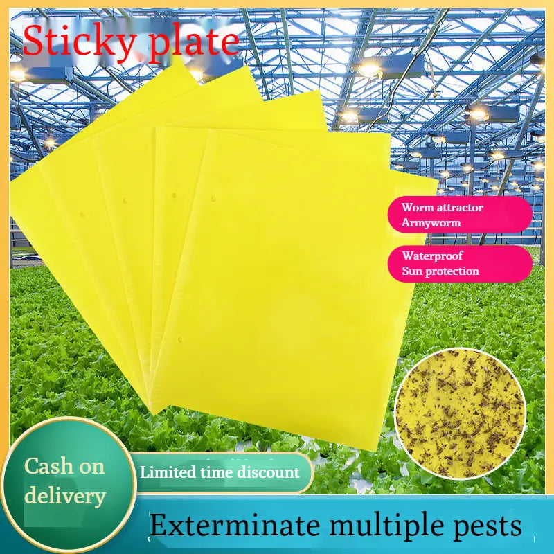 【Confezione da 120 pezzi】Pannello adesivo bifacciale giallo contro gli insetti