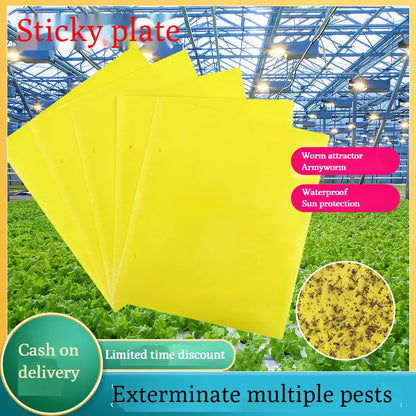 【Confezione da 120 pezzi】Pannello adesivo bifacciale giallo contro gli insetti