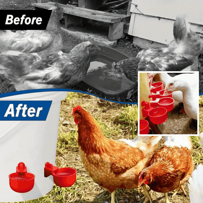 🐔【40 pezzi】Abbeveratoio automatico per uccelli