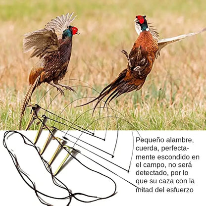 🦆🐓【5/10/20 peças】Armadilha para aves de tamanho médio, adequada para galinhas, faisões, patos-reais, perdizes e patos.