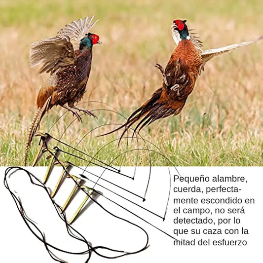 🦆🐓【5/10/20 peças】Armadilha para aves de tamanho médio, adequada para galinhas, faisões, patos-reais, perdizes e patos.