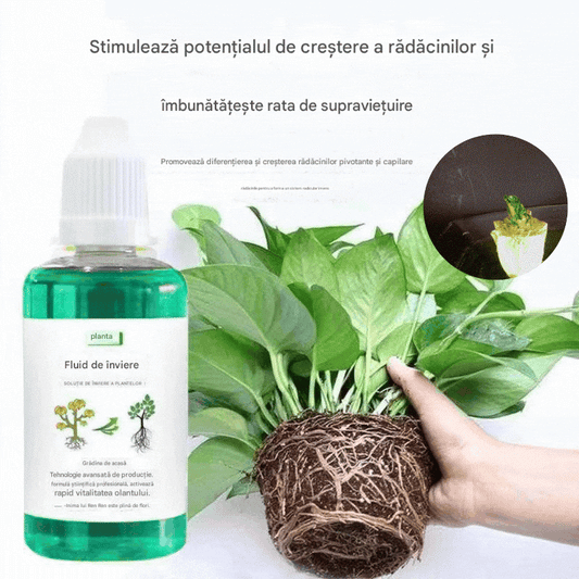 💥【Confezione da 6】🌱🌱 Soluzione nutritiva che favorisce la crescita delle piante