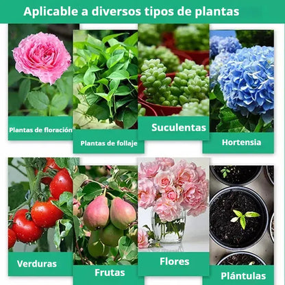 🌱🌱Soluzione nutritiva che favorisce la crescita delle piante.