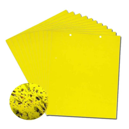 【Confezione da 120 pezzi】Pannello adesivo bifacciale giallo contro gli insetti