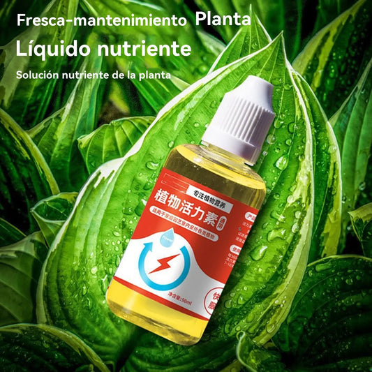 🌱🌱Soluzione nutritiva che favorisce la crescita delle piante.