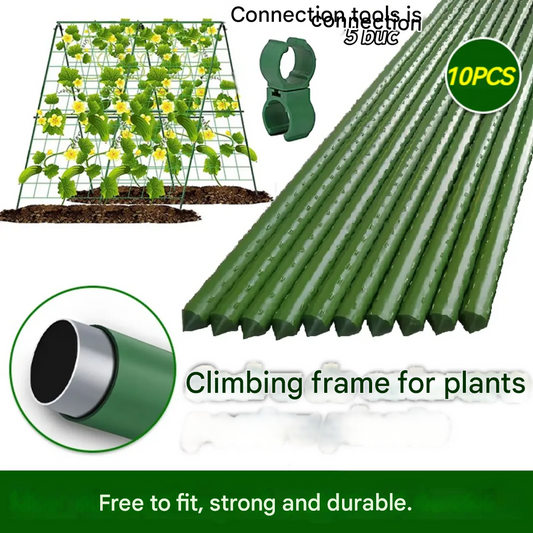 🌱🌱🌱【11*40】Estrutura de escalada para uvas - tubo de aço grosso com revestimento de plástico