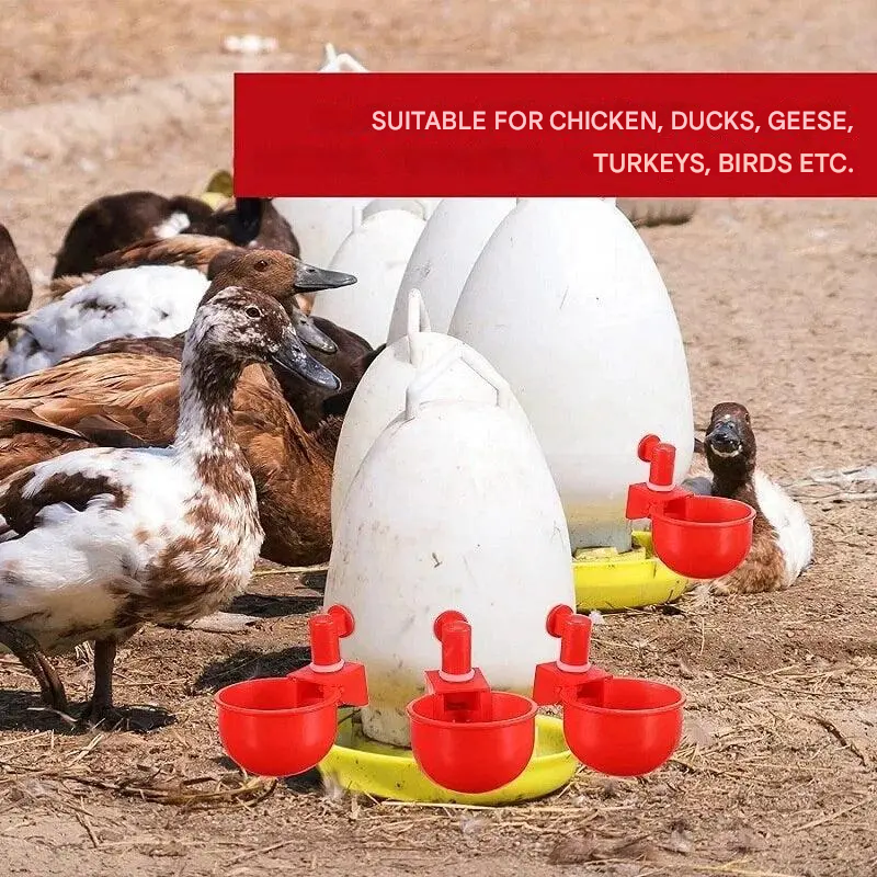 🐔【40 pezzi】Abbeveratoio automatico per uccelli