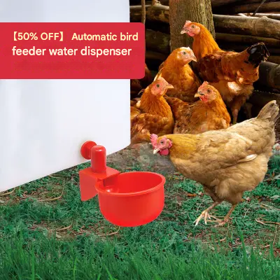 🐔【40 pezzi】Abbeveratoio automatico per uccelli